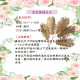 DIY花材-仿真花材-金色鳳翅五叉