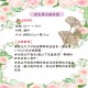 DIY花材-仿真花材-金色銀杏葉單叉