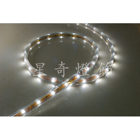 LED 軟條燈 5050 白光