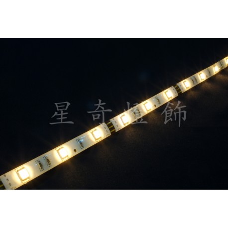 LED 60燈軟條燈 5050 暖白光 12V